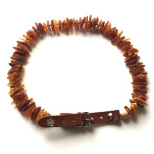 Amber Large Dog Collar