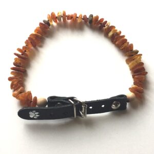 Amber Medium Dog Collar