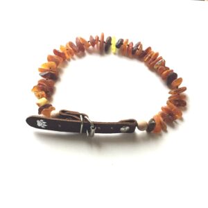 Amber Small Leather Buckle Dog Collar